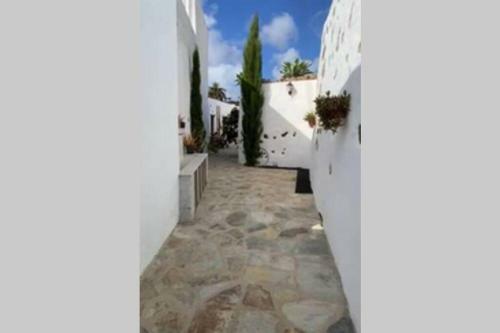 Eco Reyna House