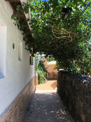 Apartamento Casa Palmera Y Casa D�til