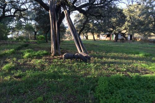 Casa Babia, Finca Privada. Parque Natural Aracena