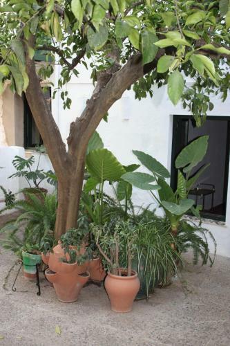 Agroturismo Las Jimenas