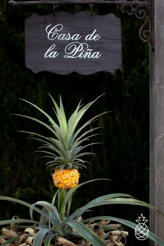 Bed & Breakfast Casa De La Pi�a
