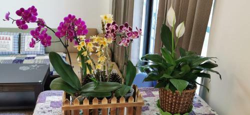 Red Sorghum Homestay