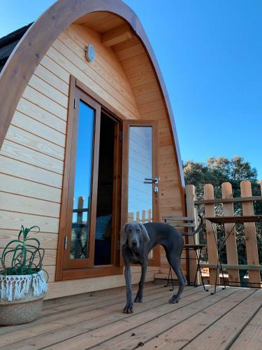Cork Valley Toledo :: Pod House 4