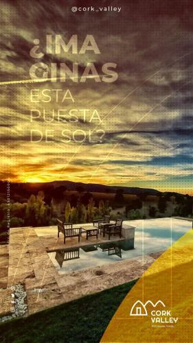 Cork Valley Toledo :: Pod House 4