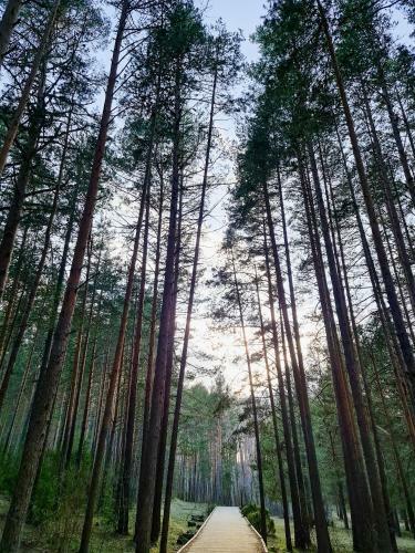 Apartamento Casa Rural Castellanos