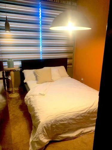 Motown Apartment Motorcity
