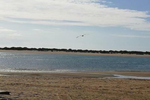 Campo Y Mar