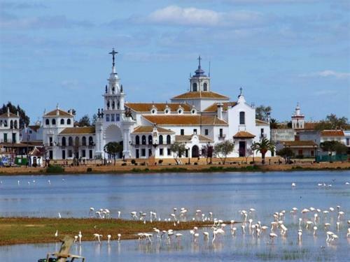 Pink Flamenca Guesthouse