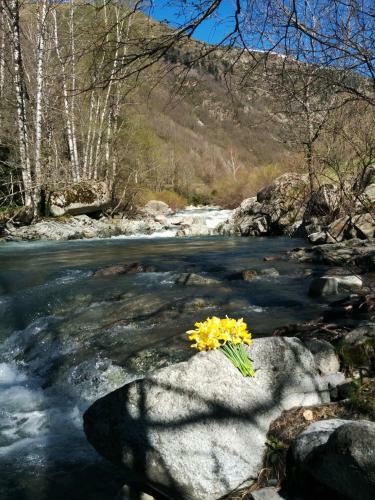 Apartamento Bachimala