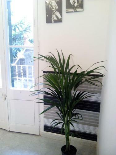Central Apartment For 5-6 People