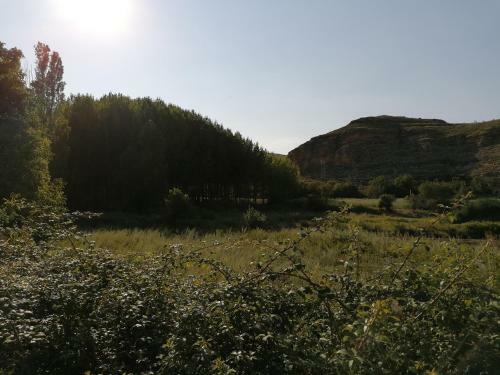 Alojamiento Turistico Ribera De Alhama
