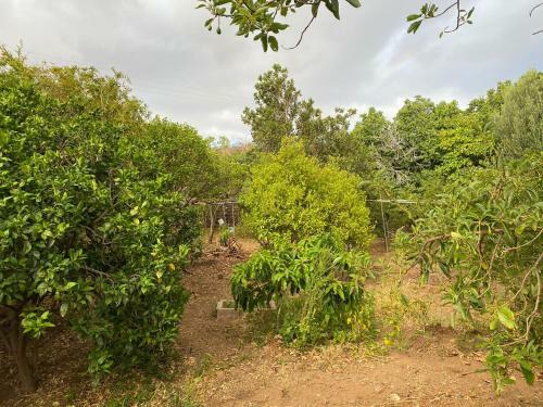 Villa Finca Alto Arena
