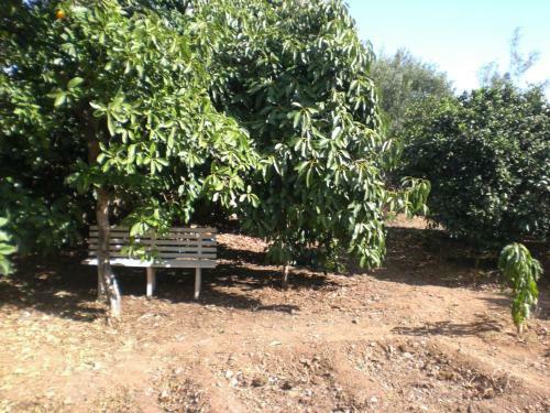 Villa Finca Alto Arena