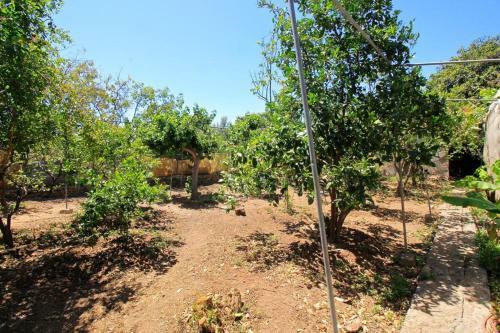 Villa Finca Alto Arena