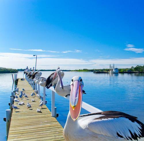Moby Dick Waterfront Motel