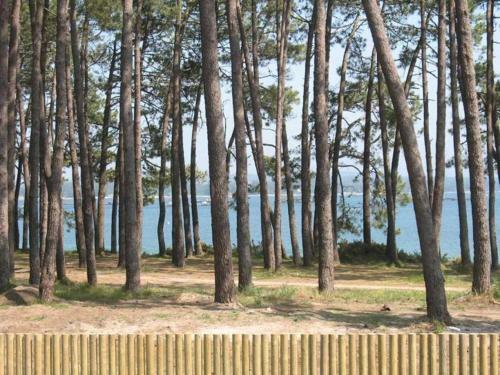 Excepcional Apartamento En La Isla De Arosa