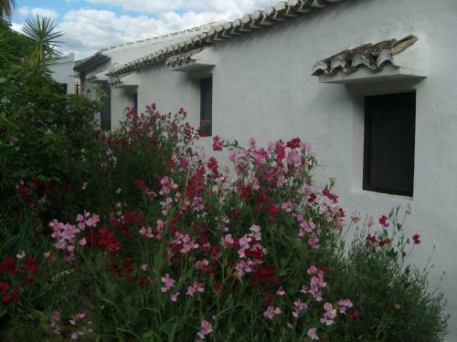 Villa Finca Brigadoon