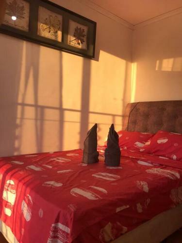 Apartamento Transient Space With Pool View And Balcony