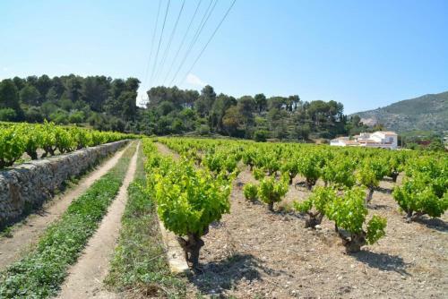 Bed & Breakfast Casa Mistela