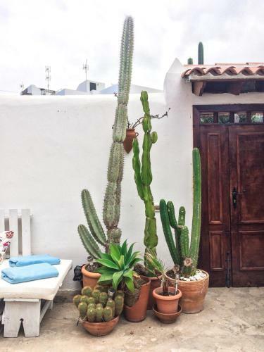 Hostal Casa Antonia Guest House