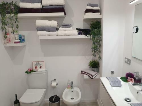 Apartamento Plaza San Marcos