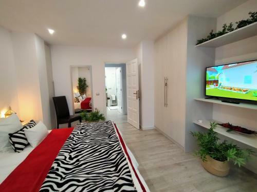 Apartamento Plaza San Marcos