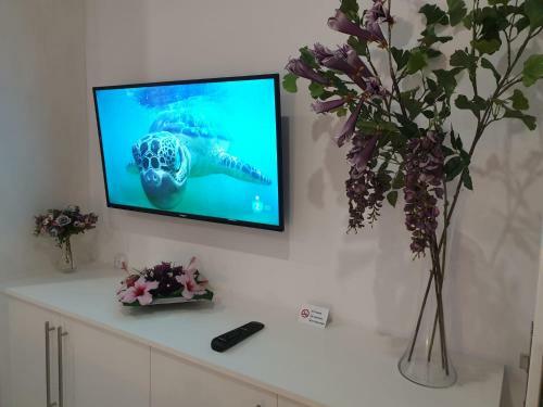 Apartamento Plaza San Marcos
