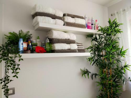 Apartamento Plaza San Marcos