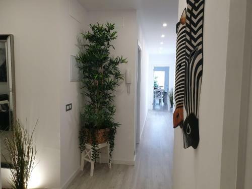 Apartamento Plaza San Marcos