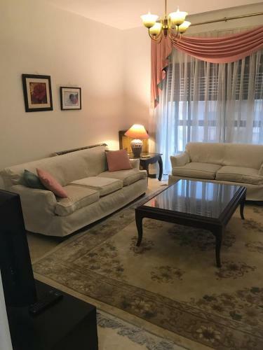 Nice Furnished Apartment
