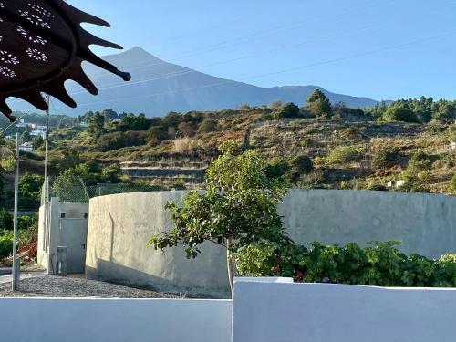 Bed & Breakfast Casa Salvia Icod De Los Vinos