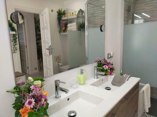 Apartamento Room Plaza & Parking