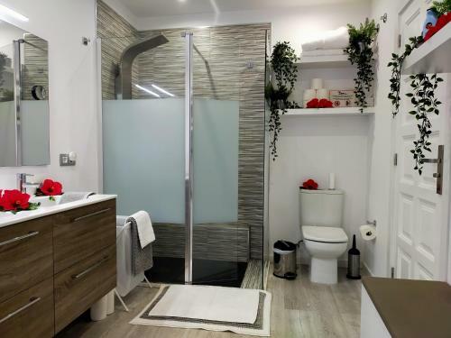 Apartamento Habitaci�n Plaza
