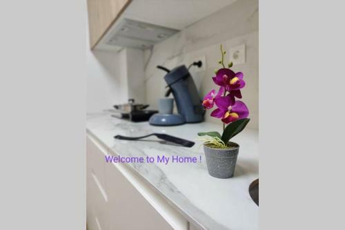 Apartamento X�tiva Home, Loft Center
