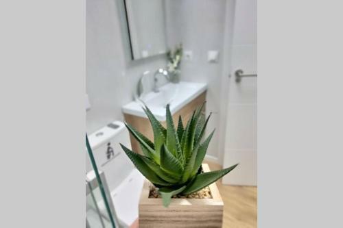 Apartamento X�tiva Home, Loft Center