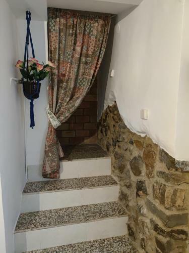 Casa Centro J�rica