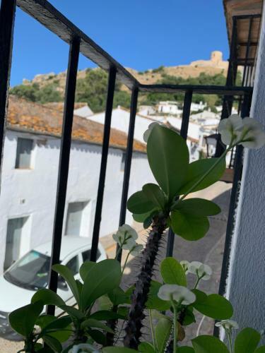 El Estudio - Beautiful Apartment In Historic Old Town