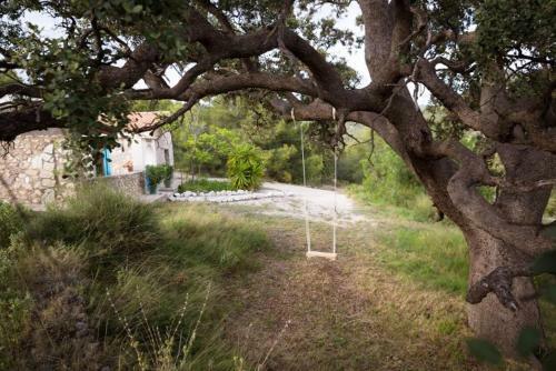 Villa Finca Les Coves