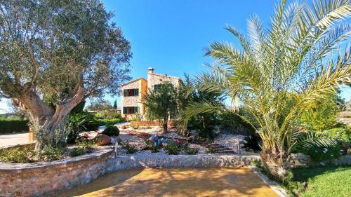 Villa S'alfabia