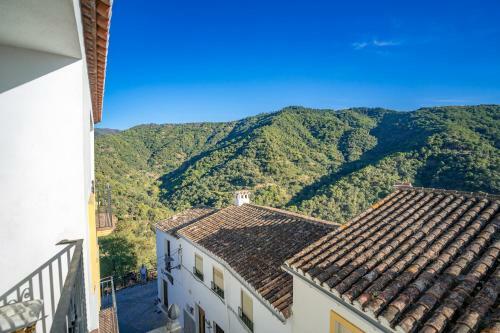 Apartamento Calle Cruz