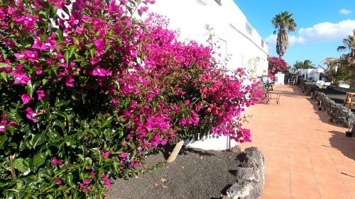 Apartamento Rosa Eden