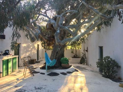 Bed & Breakfast Patio II Studio At Finca