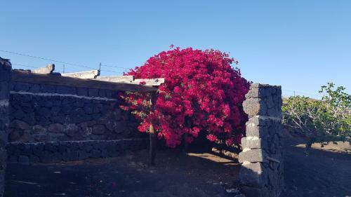 Oasis Vasiliko - Relax And Vacaciones Lanzarote