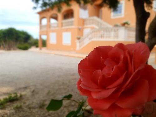 Villa Ca�n Roser