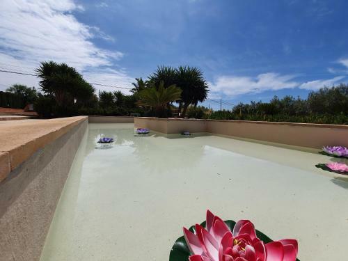 Villa Ca�n Roser