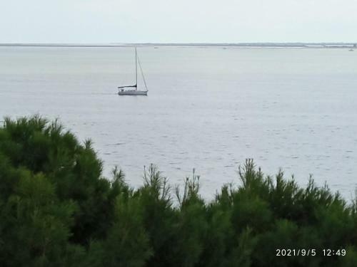 Ampolla Port Apartament