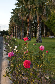 Motel Parklands Resort & Conference Centre