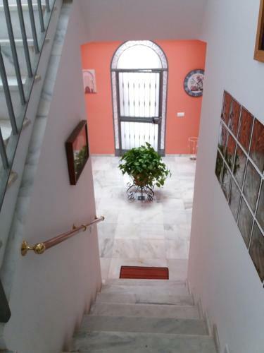 Big House Jerez