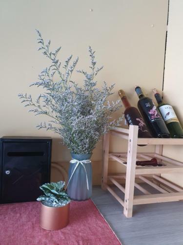 Hostal Stay If You Wish Homestay