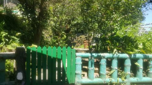 Apartamento Jiufen Back Yard Homestay